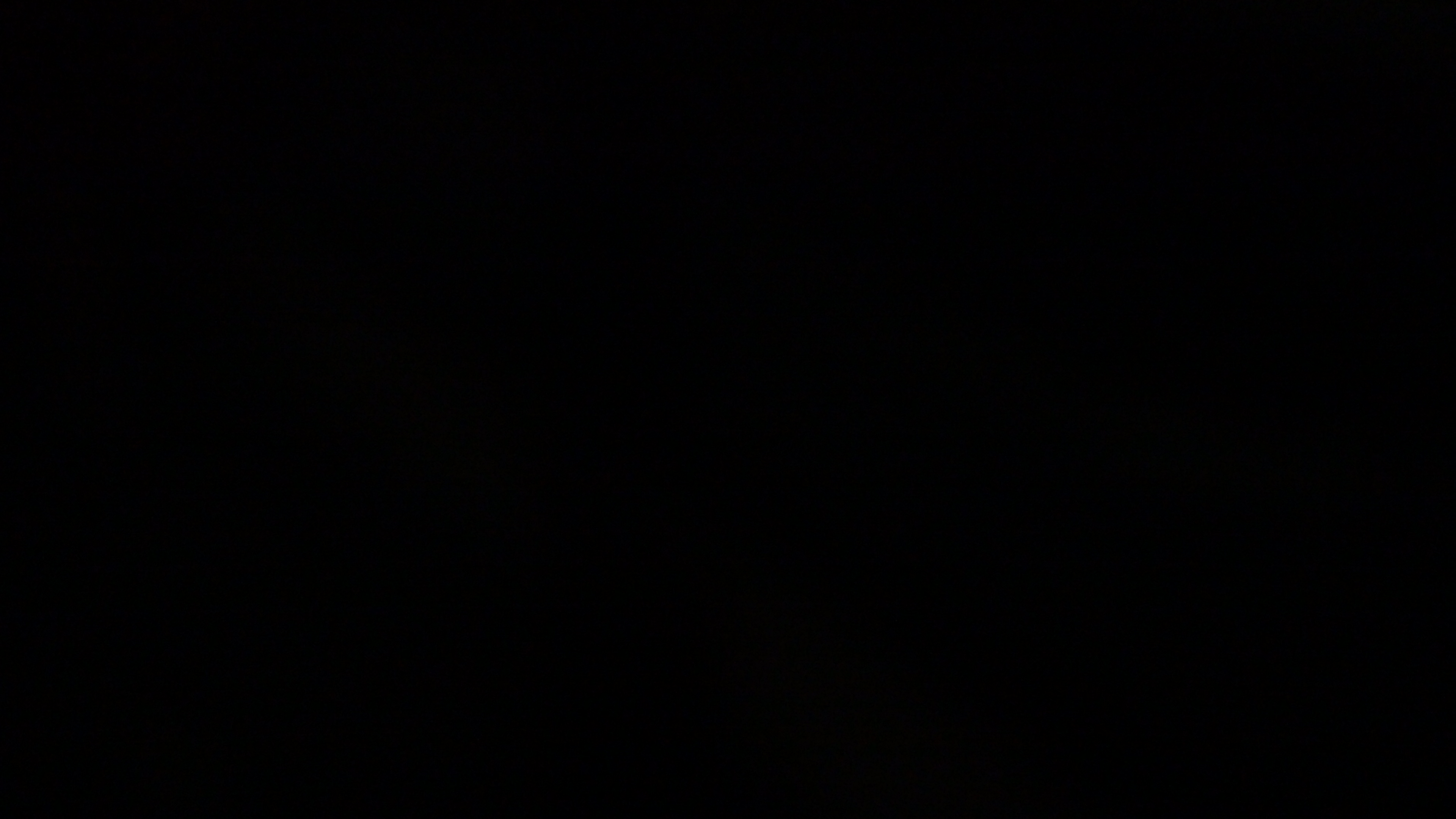 DSC01223