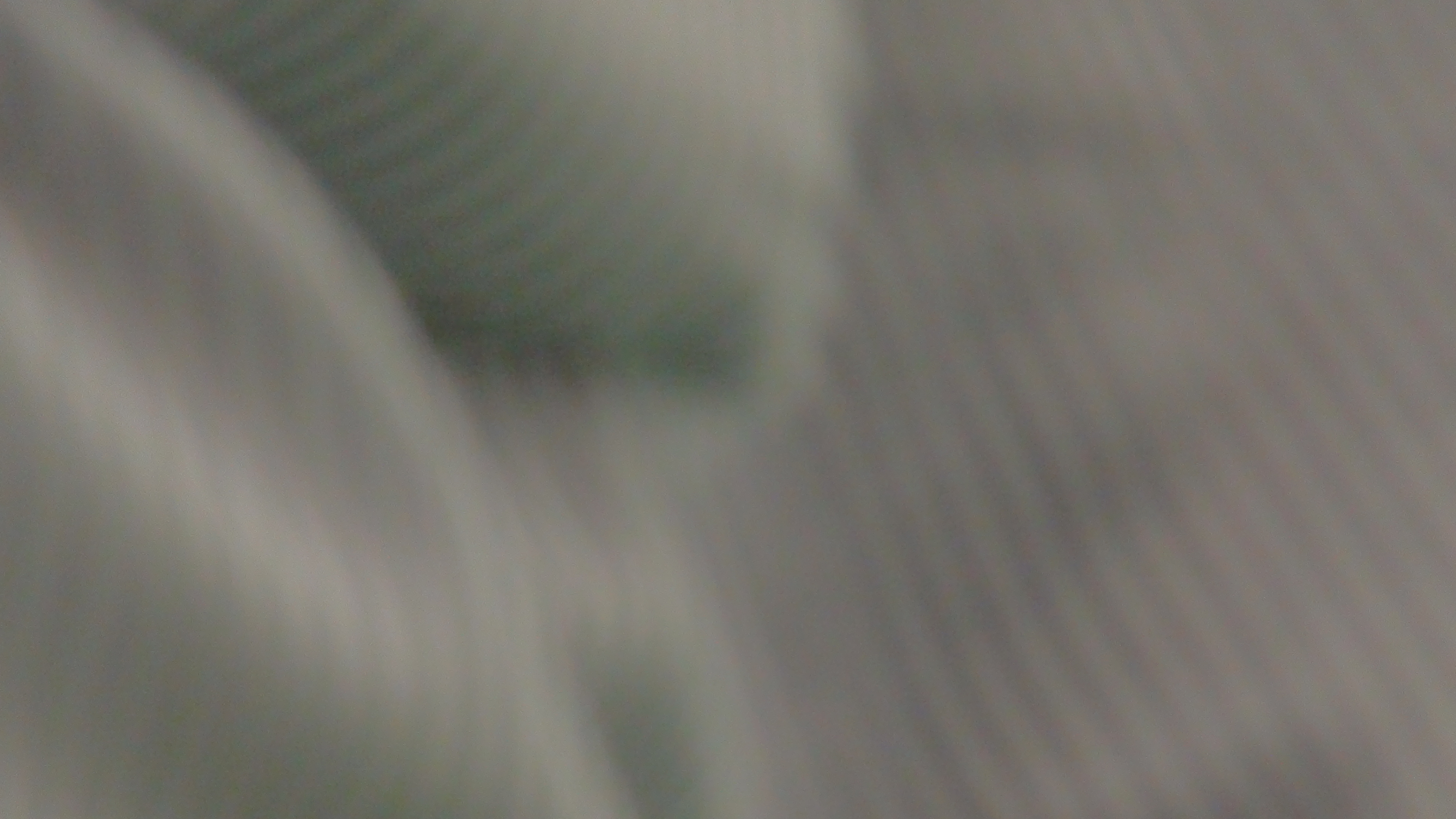 DSC01441